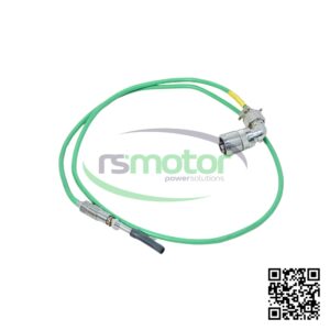 Sensor de Temperatura MWM RS-12323810 Sobre un fondo blanco con el logo de RS Motor de fondo